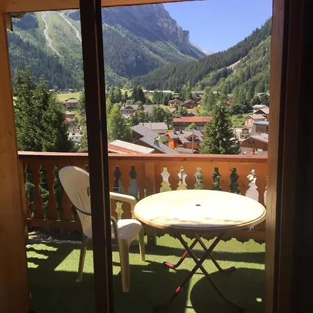 Montana 8 *